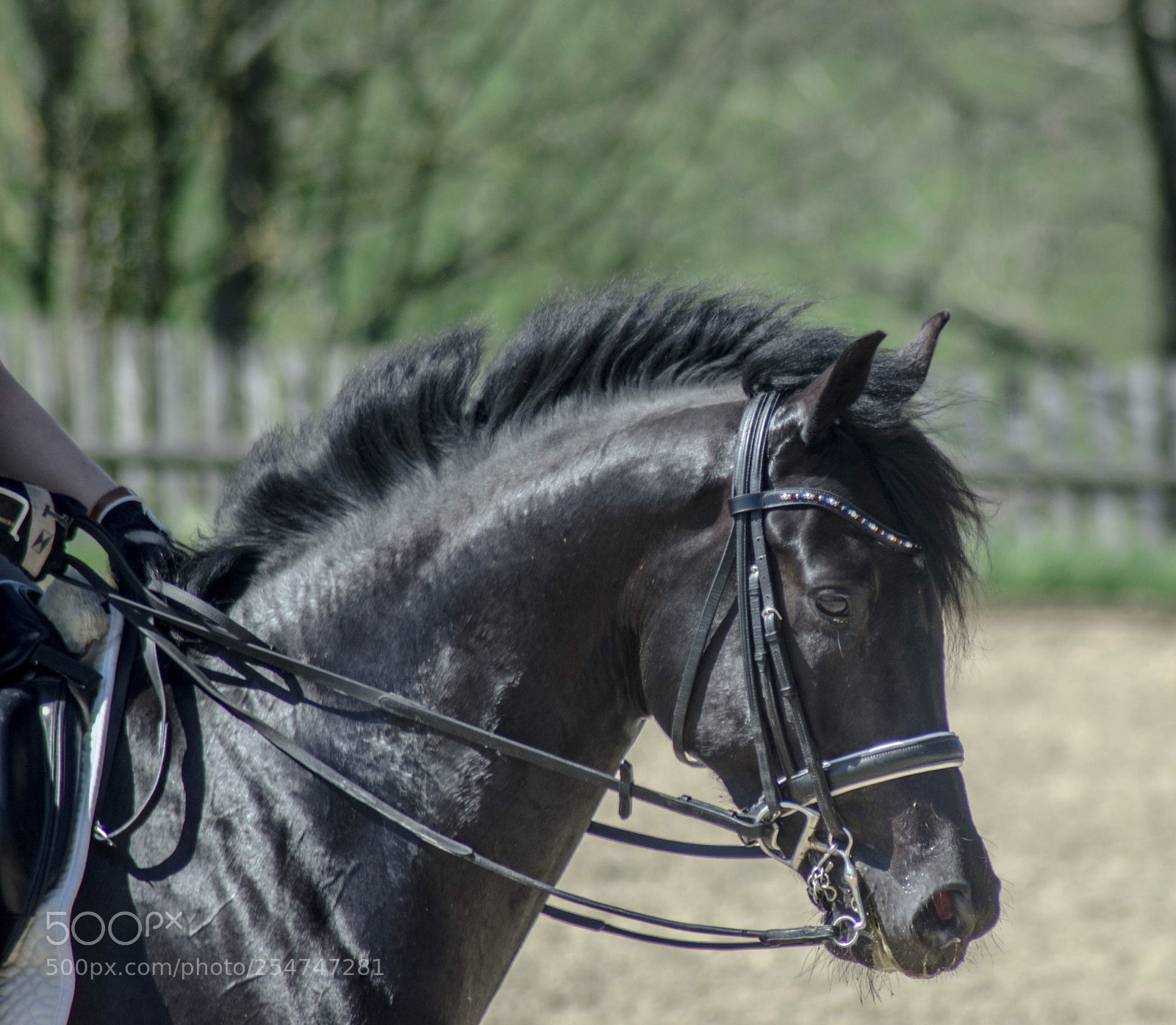Nikon D7000 sample photo. Untitled photography