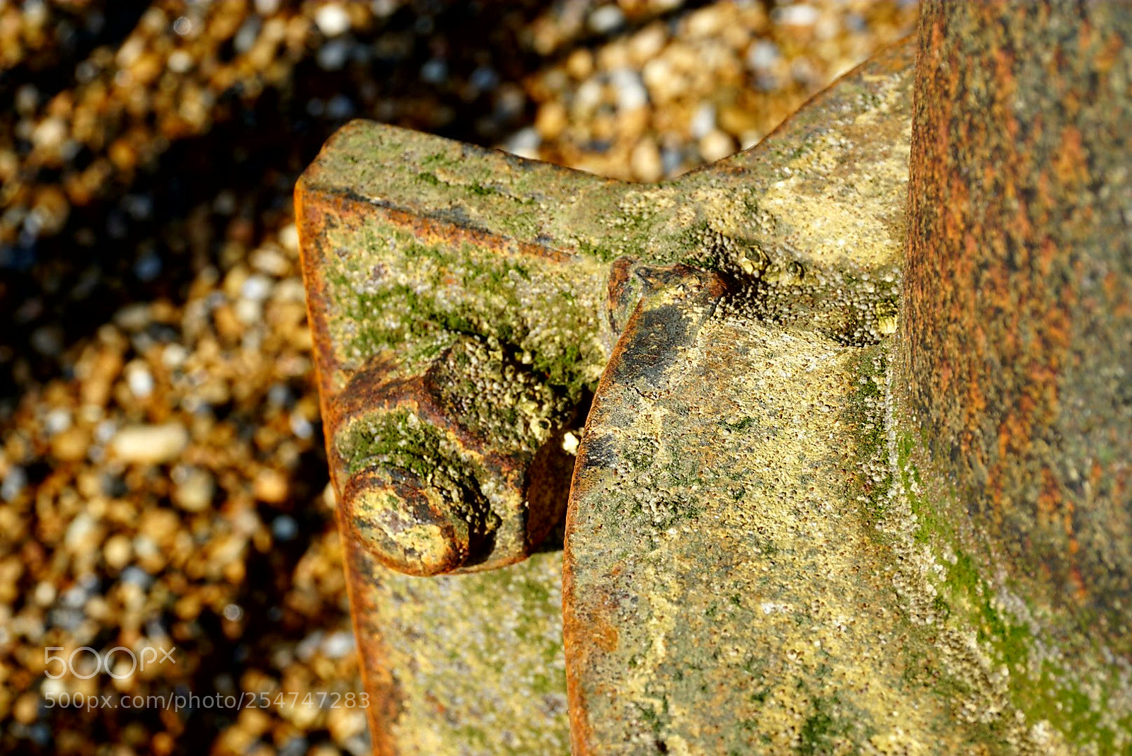 Sony a6000 sample photo. Strut bolts photography