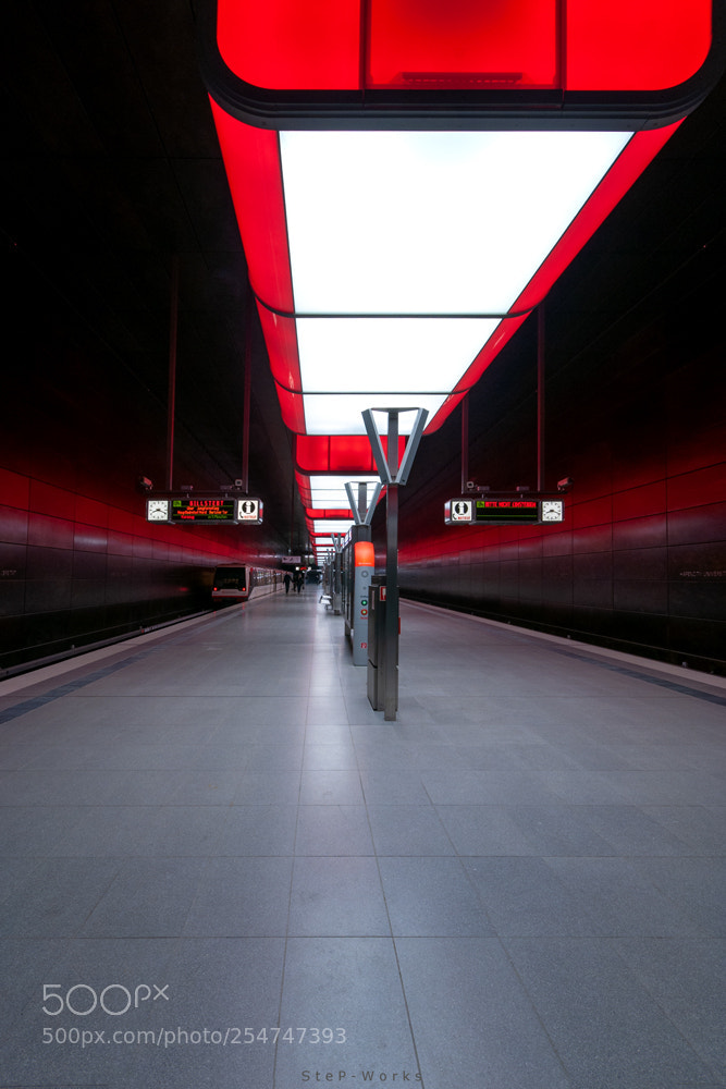 Nikon D90 sample photo. Rot photography