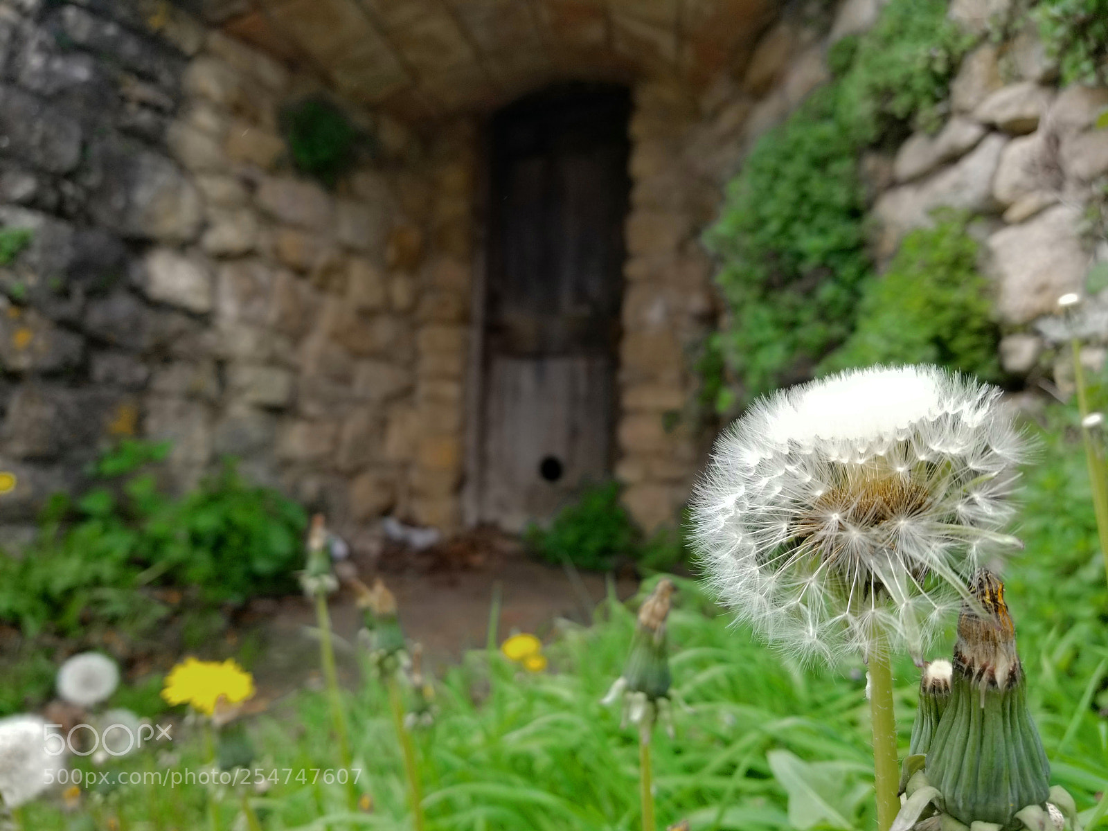Samsung Galaxy S8 sample photo. Untitled photography
