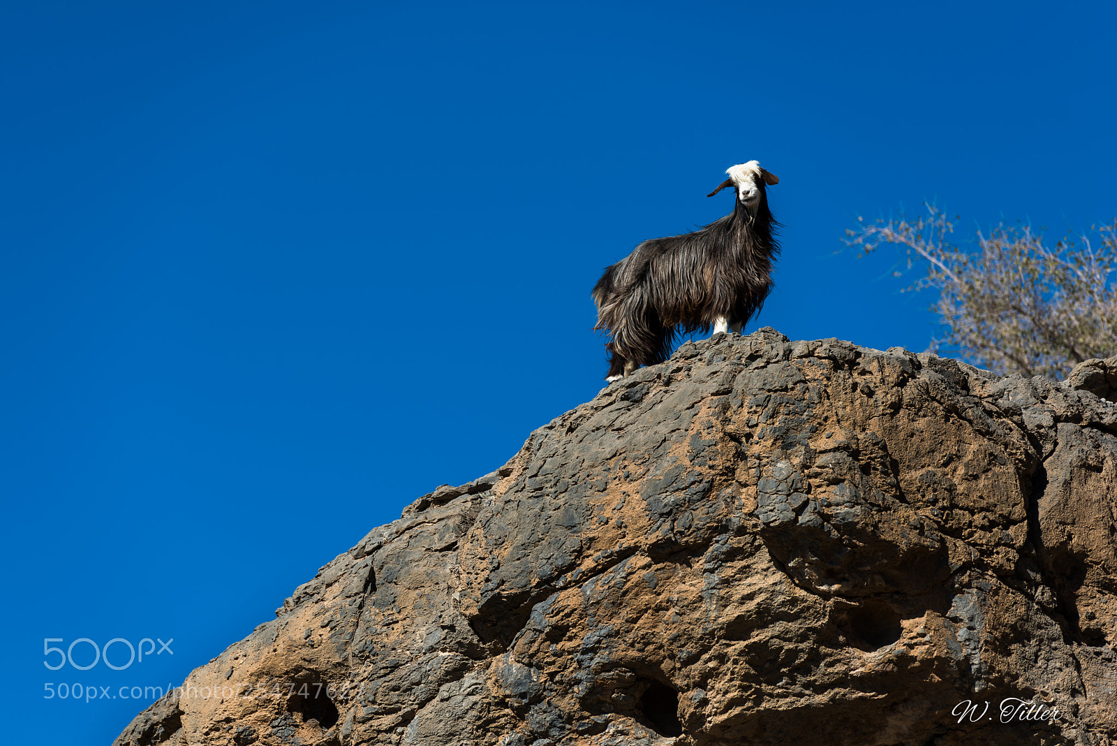 Nikon D810 sample photo. Jebel akhdar photography