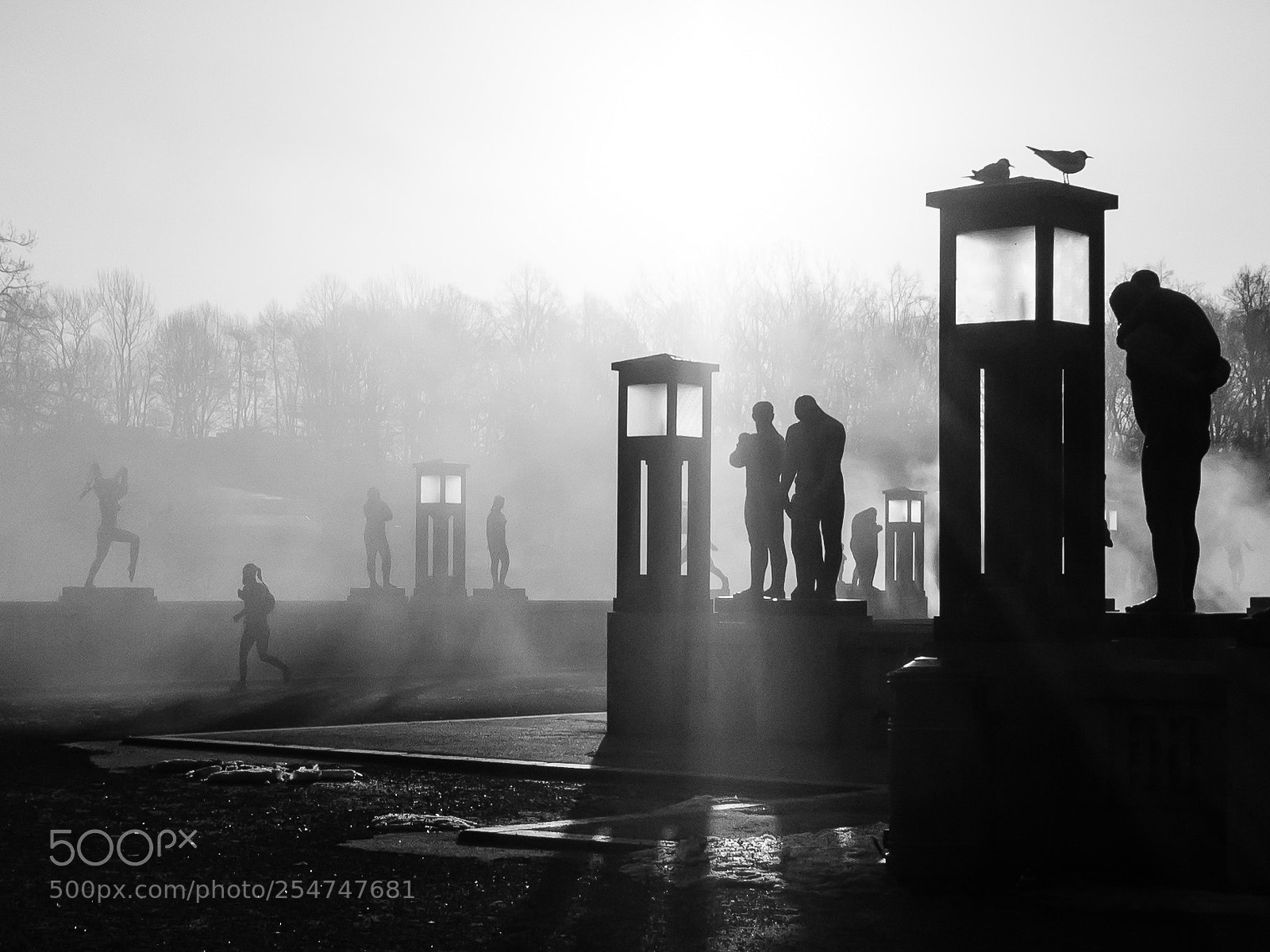 Olympus OM-D E-M1 sample photo. Misty morning photography