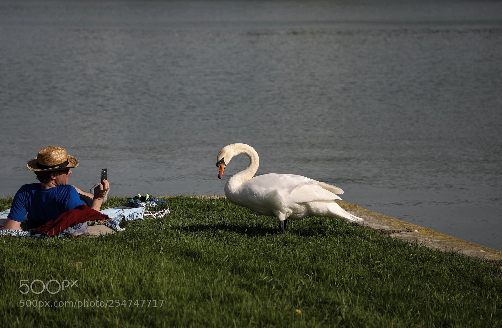 Canon EOS 5D Mark IV sample photo. Untitled photography