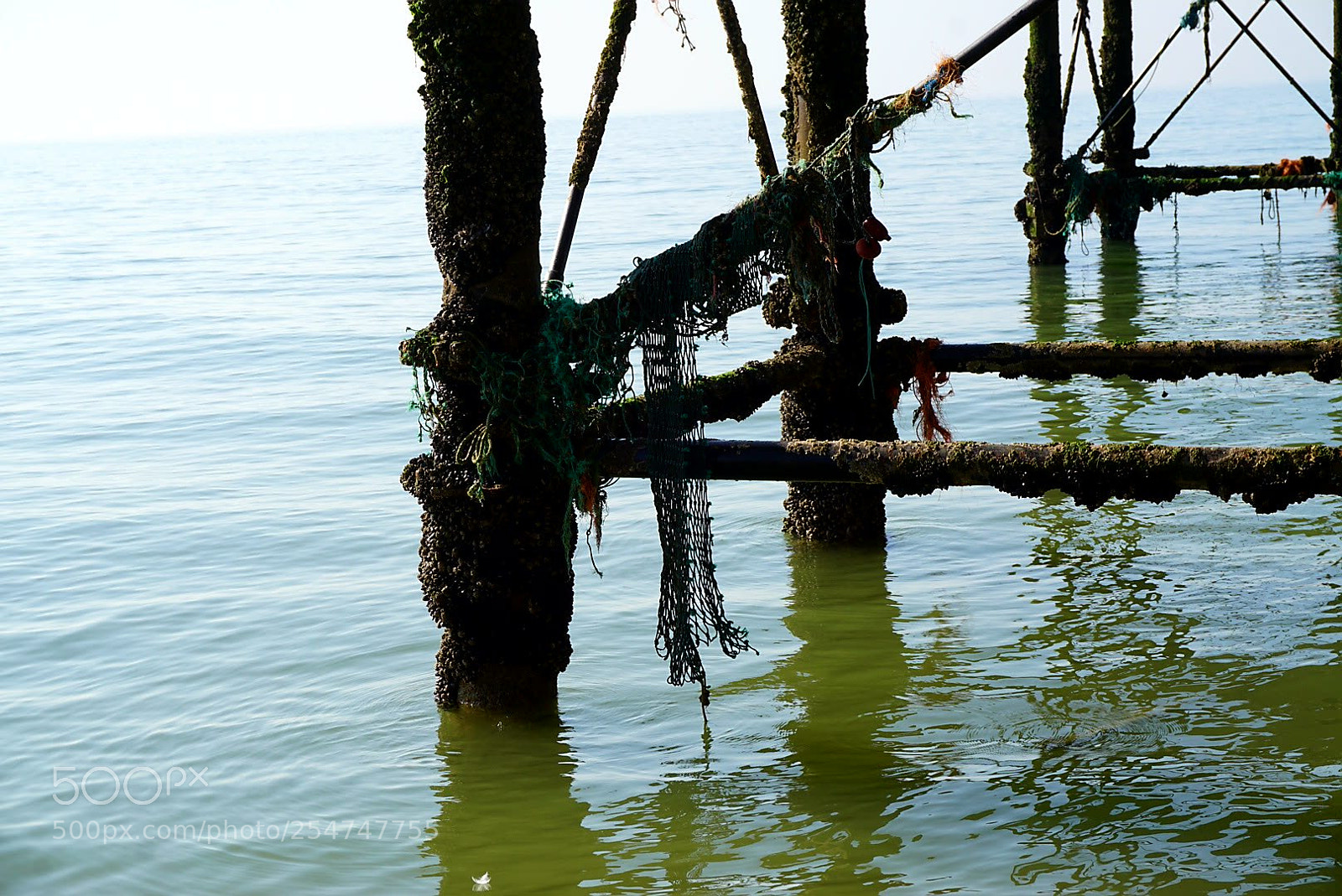 Sony a6000 sample photo. Pier strut photography