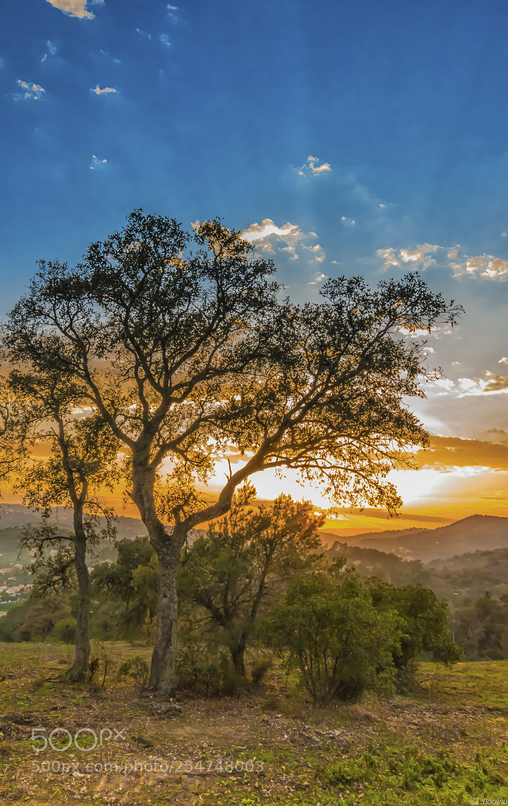 Nikon D5500 sample photo. Sunset spirit photography
