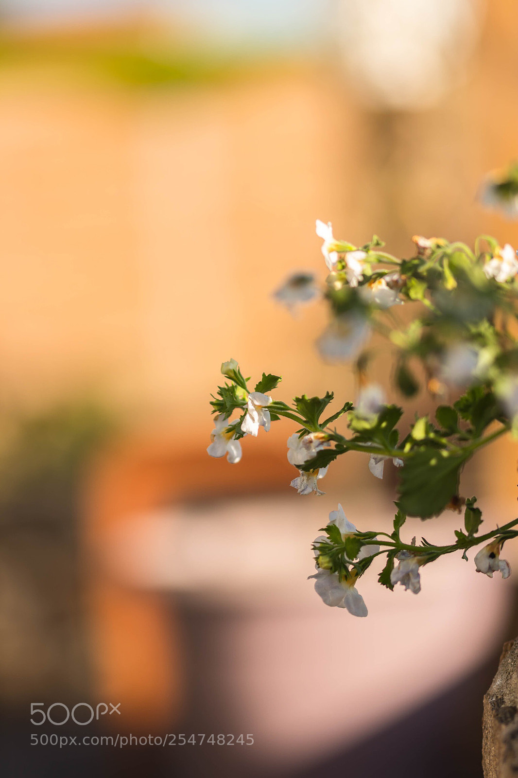 Canon EOS 80D sample photo. Juste un instant ! photography
