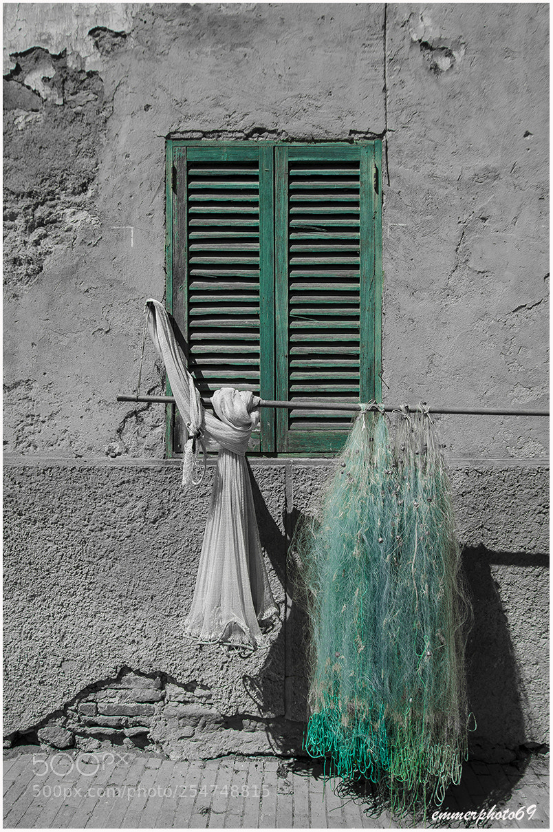 Nikon D7000 sample photo. Verde photography
