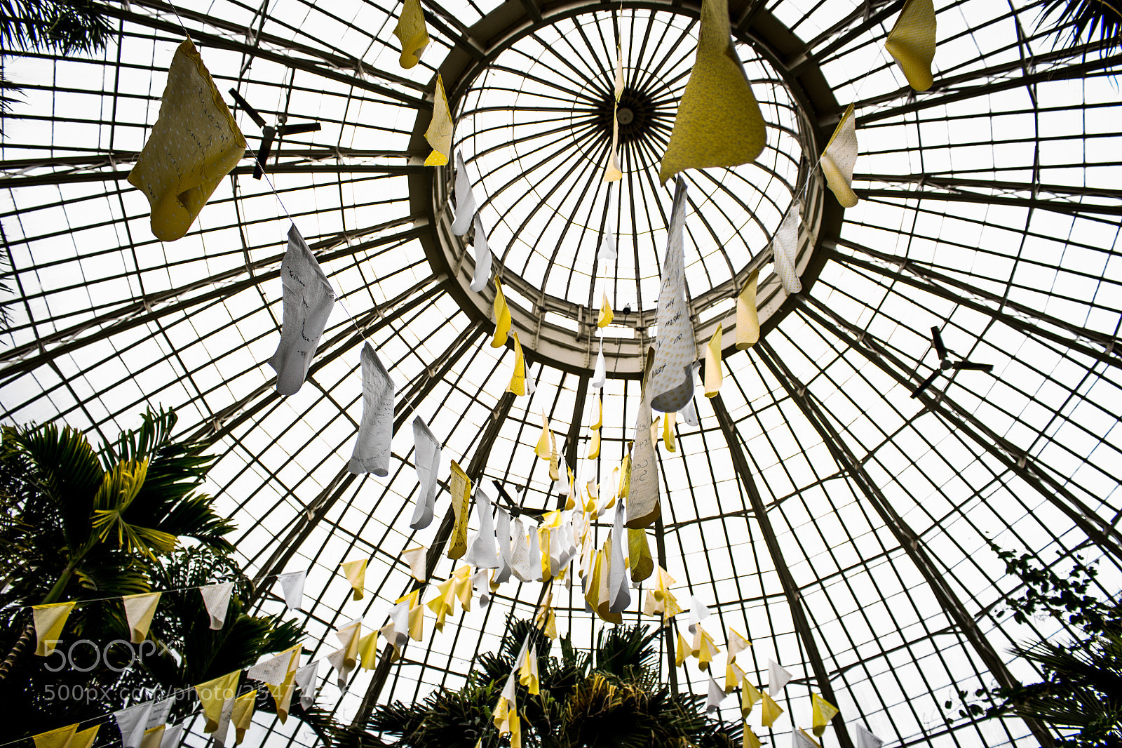Canon EOS 700D (EOS Rebel T5i / EOS Kiss X7i) sample photo. White and yellow flags photography