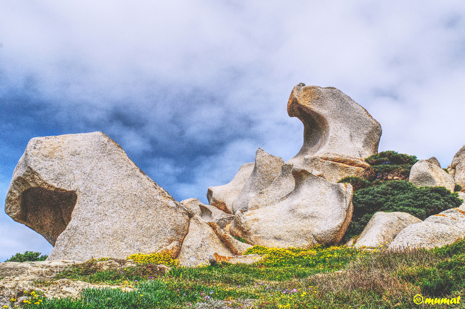 Nikon D40X sample photo. Capo testa photography