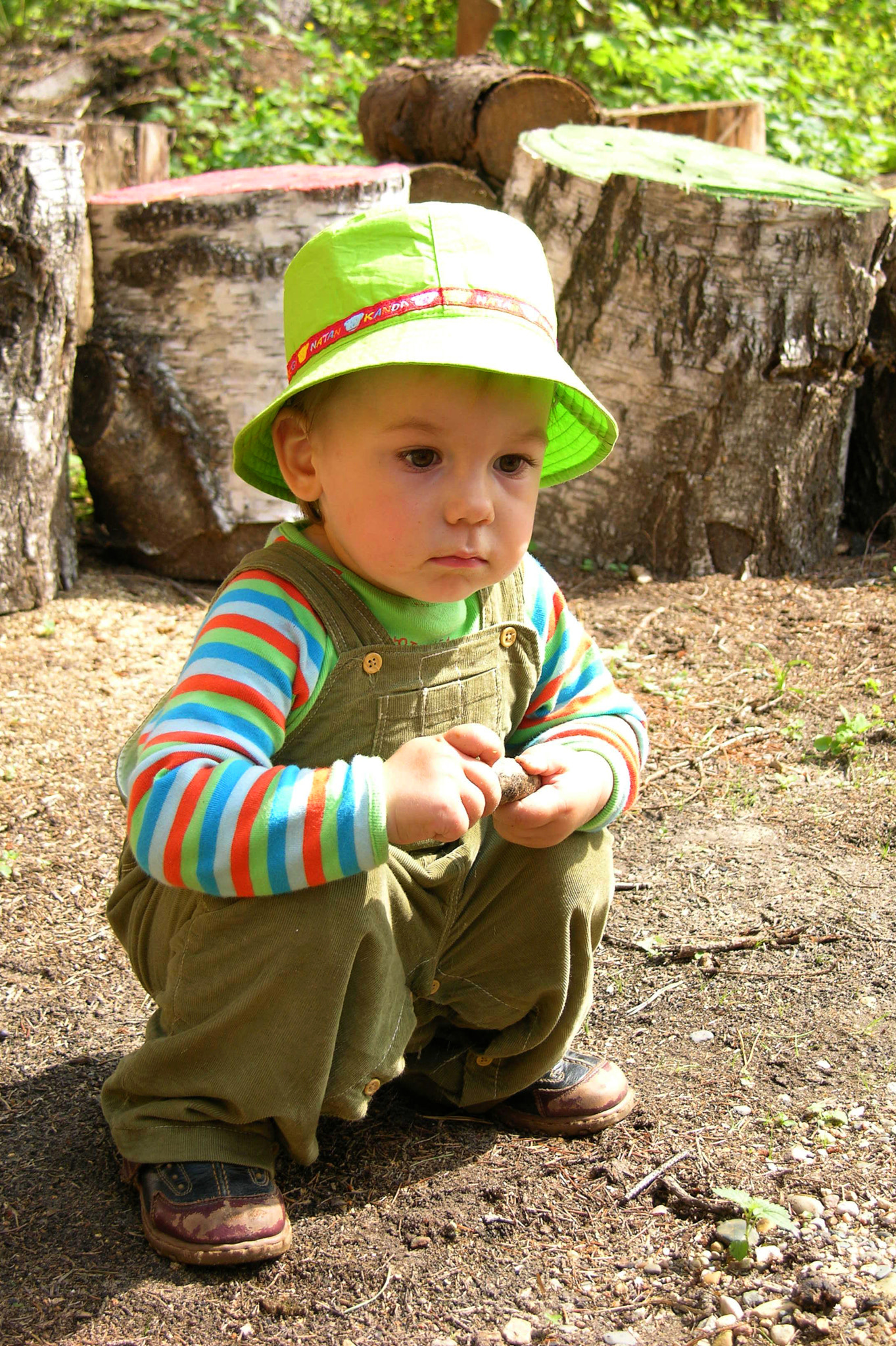 Nikon E8700 sample photo. Stump photography