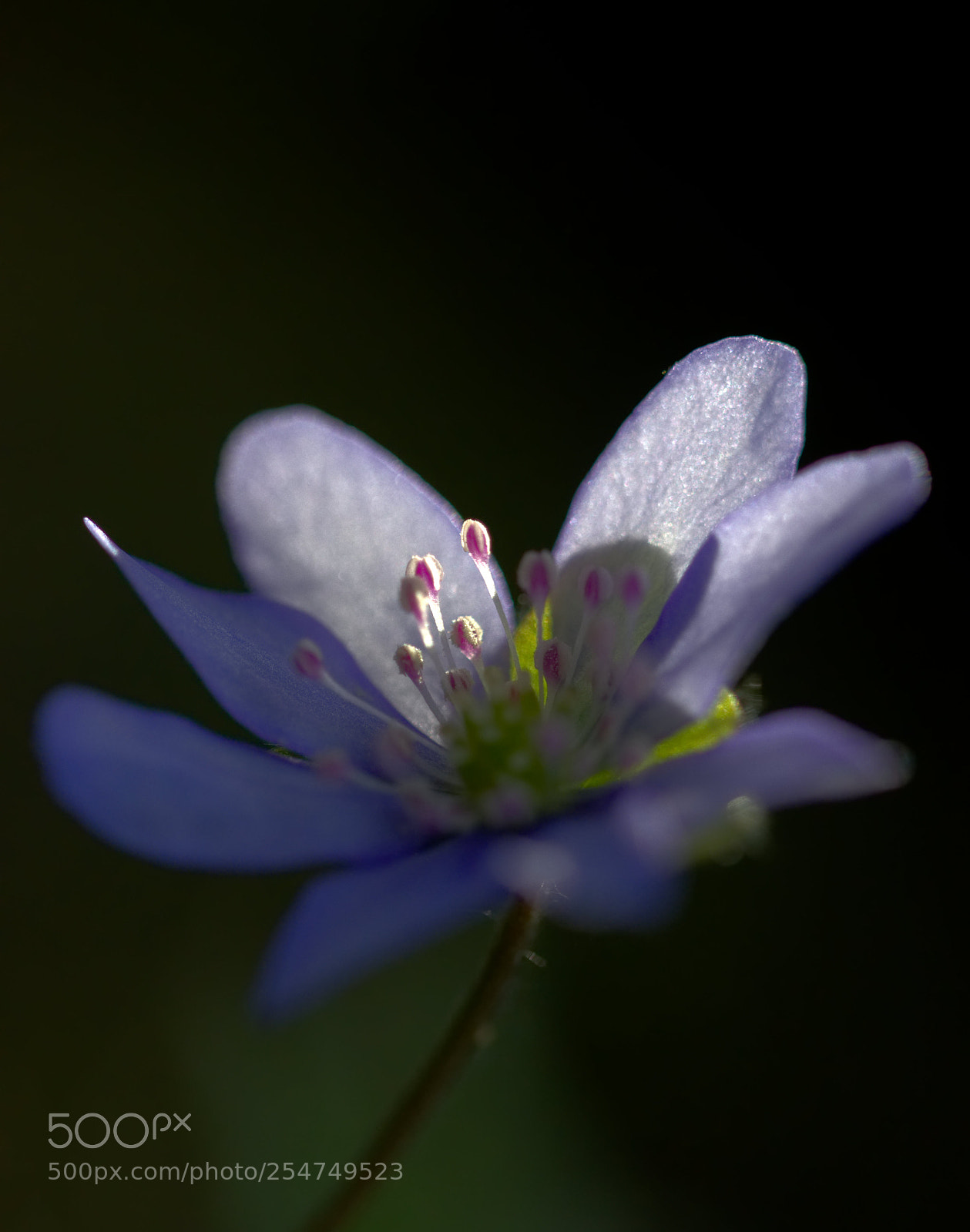 Nikon D7000 sample photo. Fullsizeoutput photography
