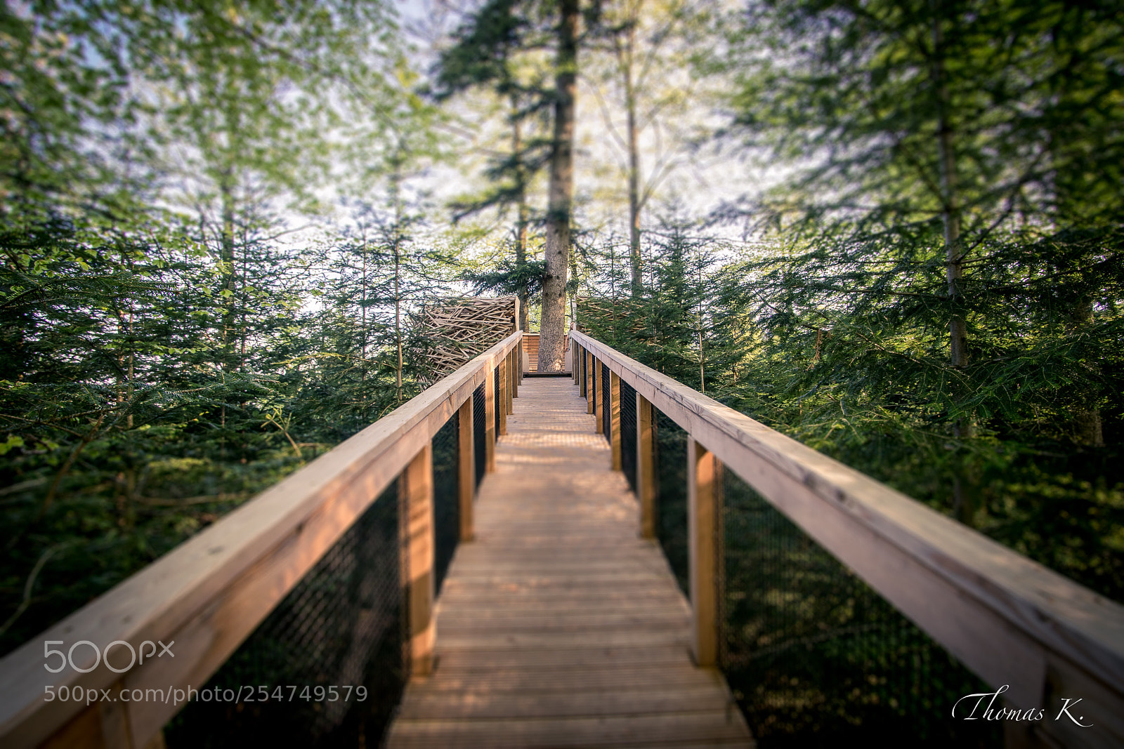 Sony a7 sample photo. Peaceful place photography