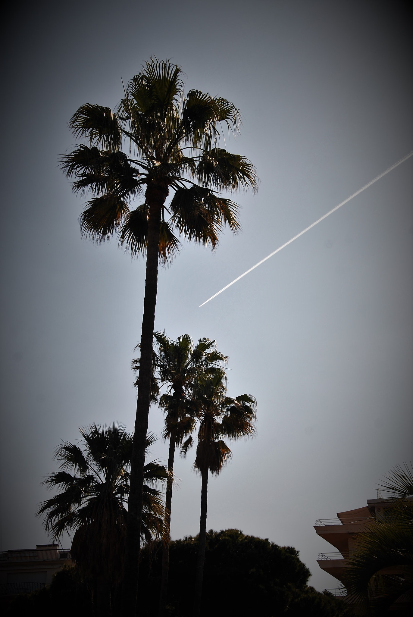 Nikon D60 sample photo. Riviera fly... photography