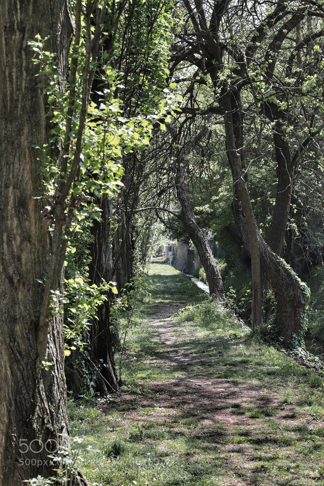 Canon EOS 6D Mark II sample photo. Let’go… photography
