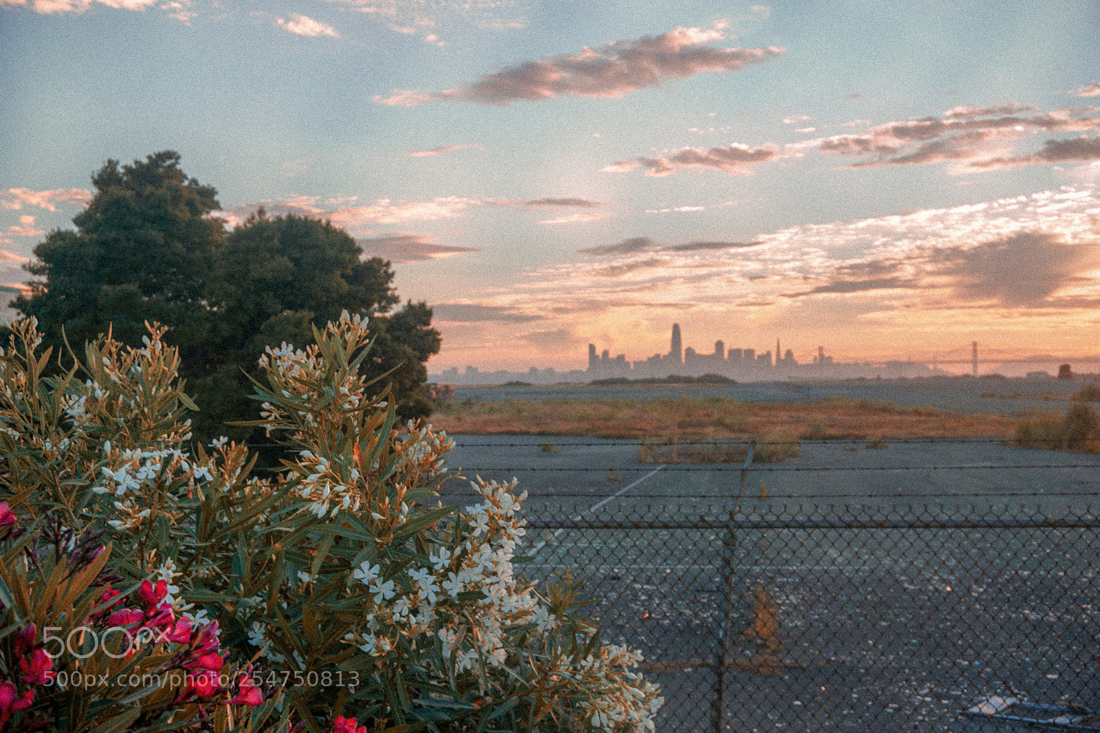 Sony a6000 sample photo. City sunset photography