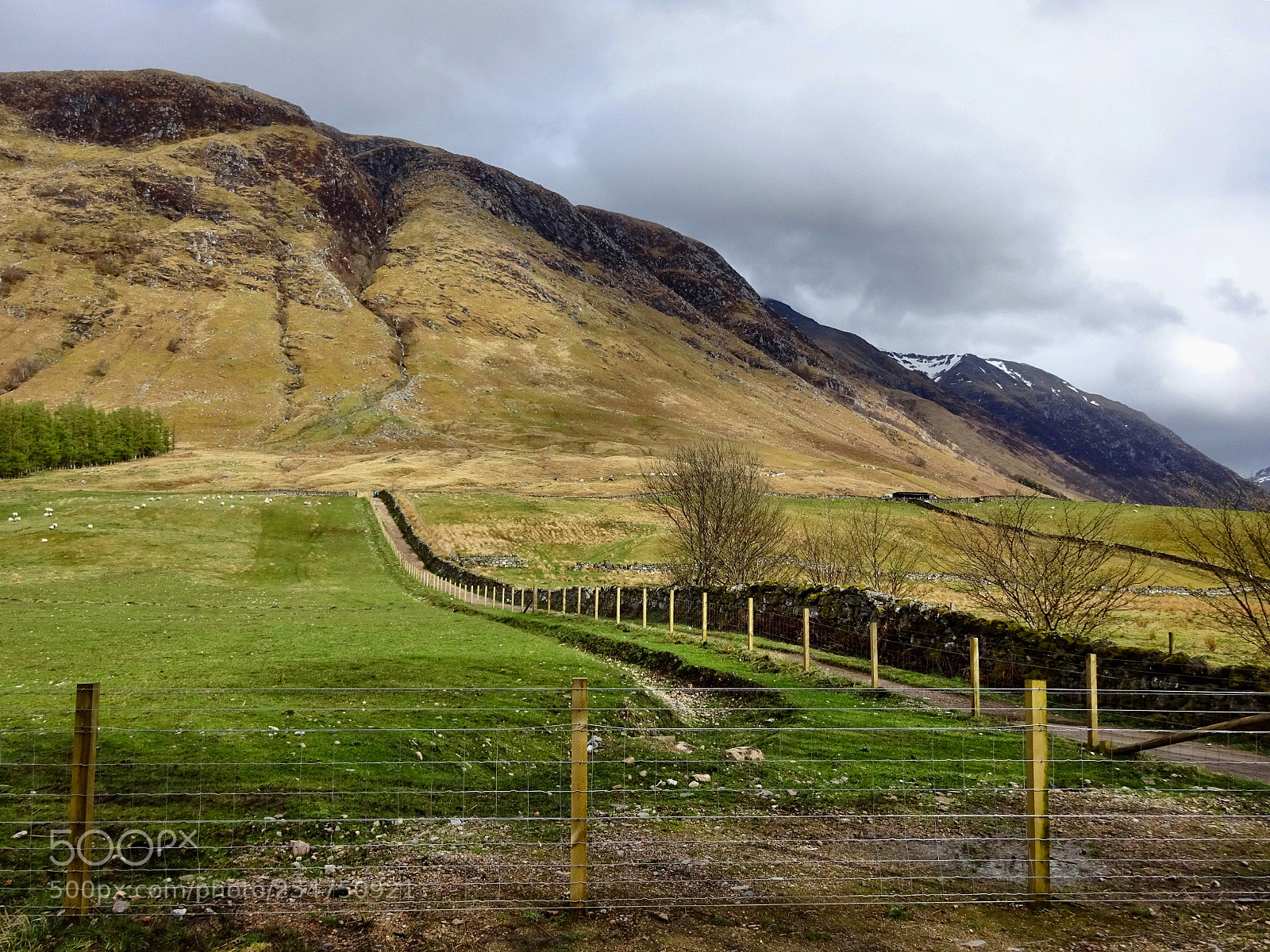 Sony Cyber-shot DSC-WX350 sample photo. The ben path photography