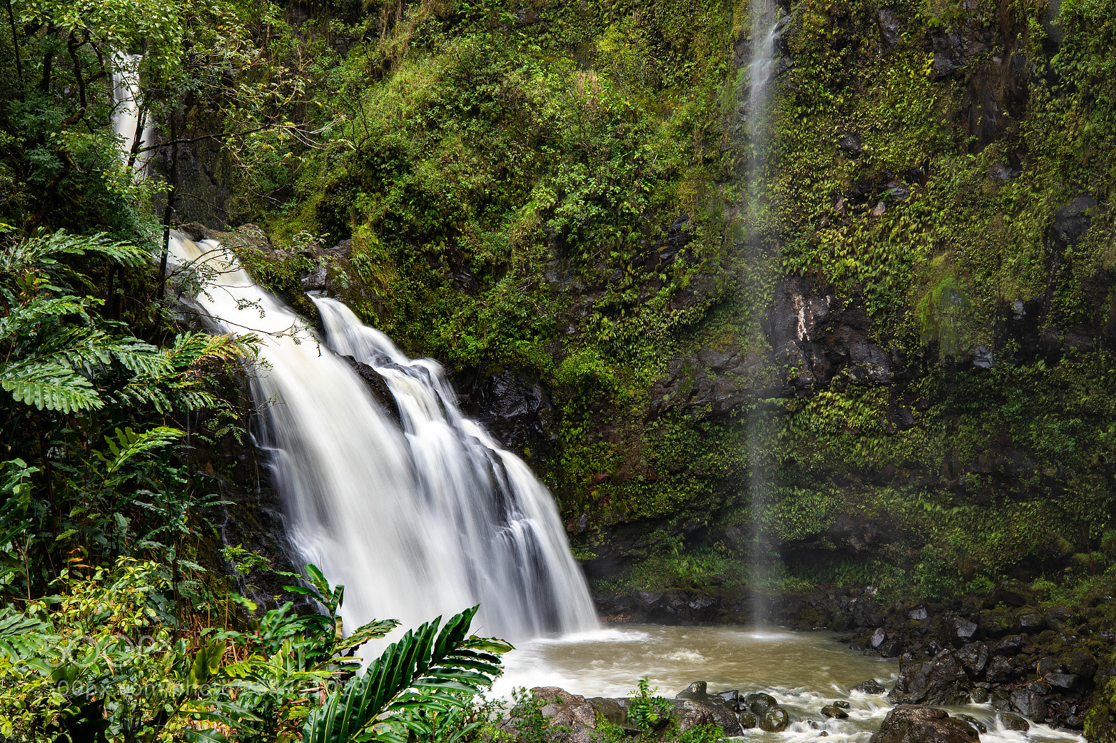 Canon EOS 5D Mark IV sample photo. Three bears waterfall photography