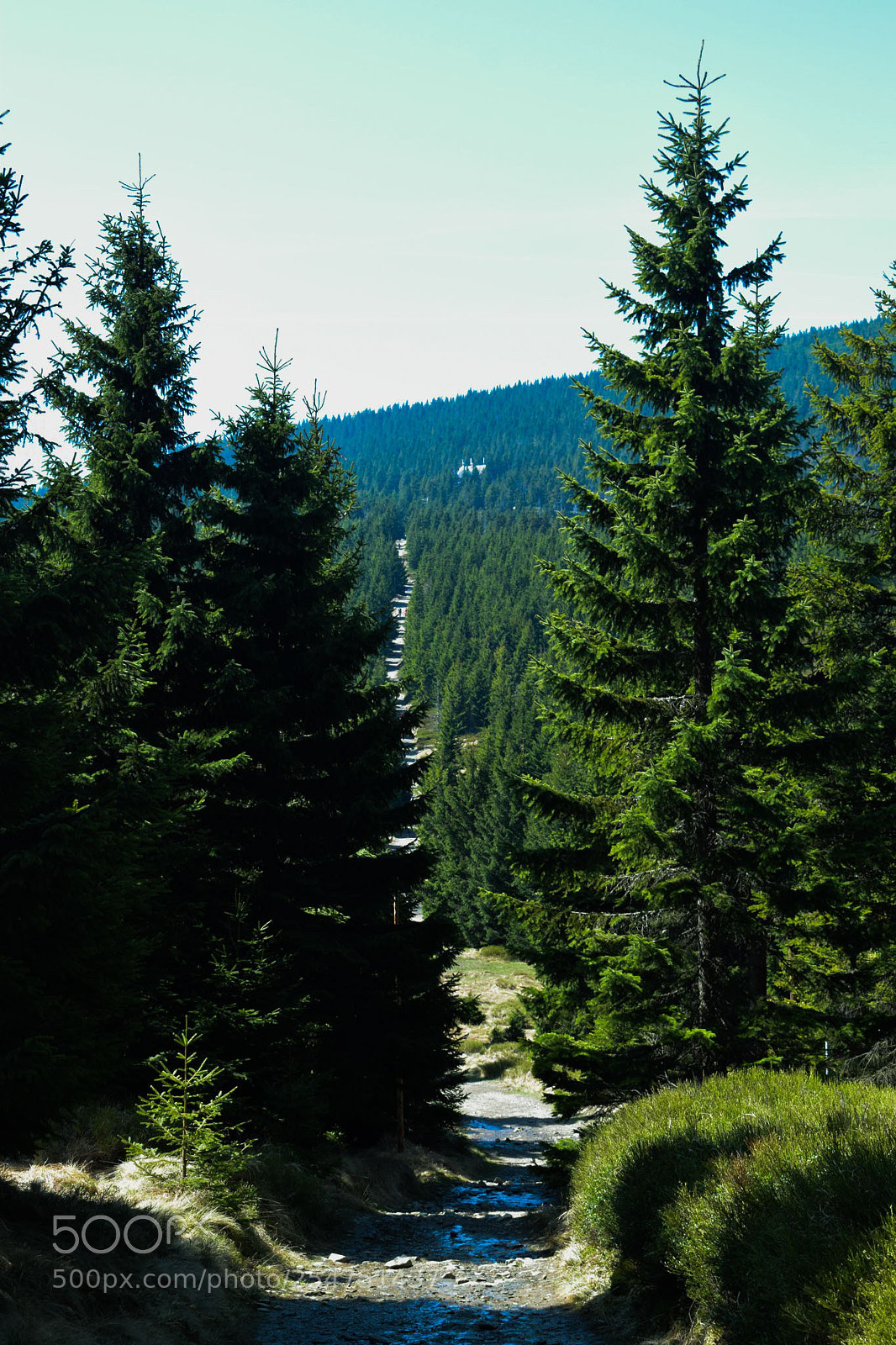 Nikon D3300 sample photo. Spring in karkonosze national photography
