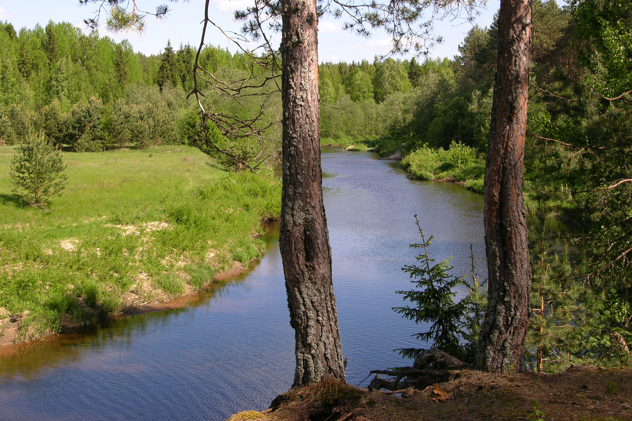 Nikon E8700 sample photo. Spring landscape photography