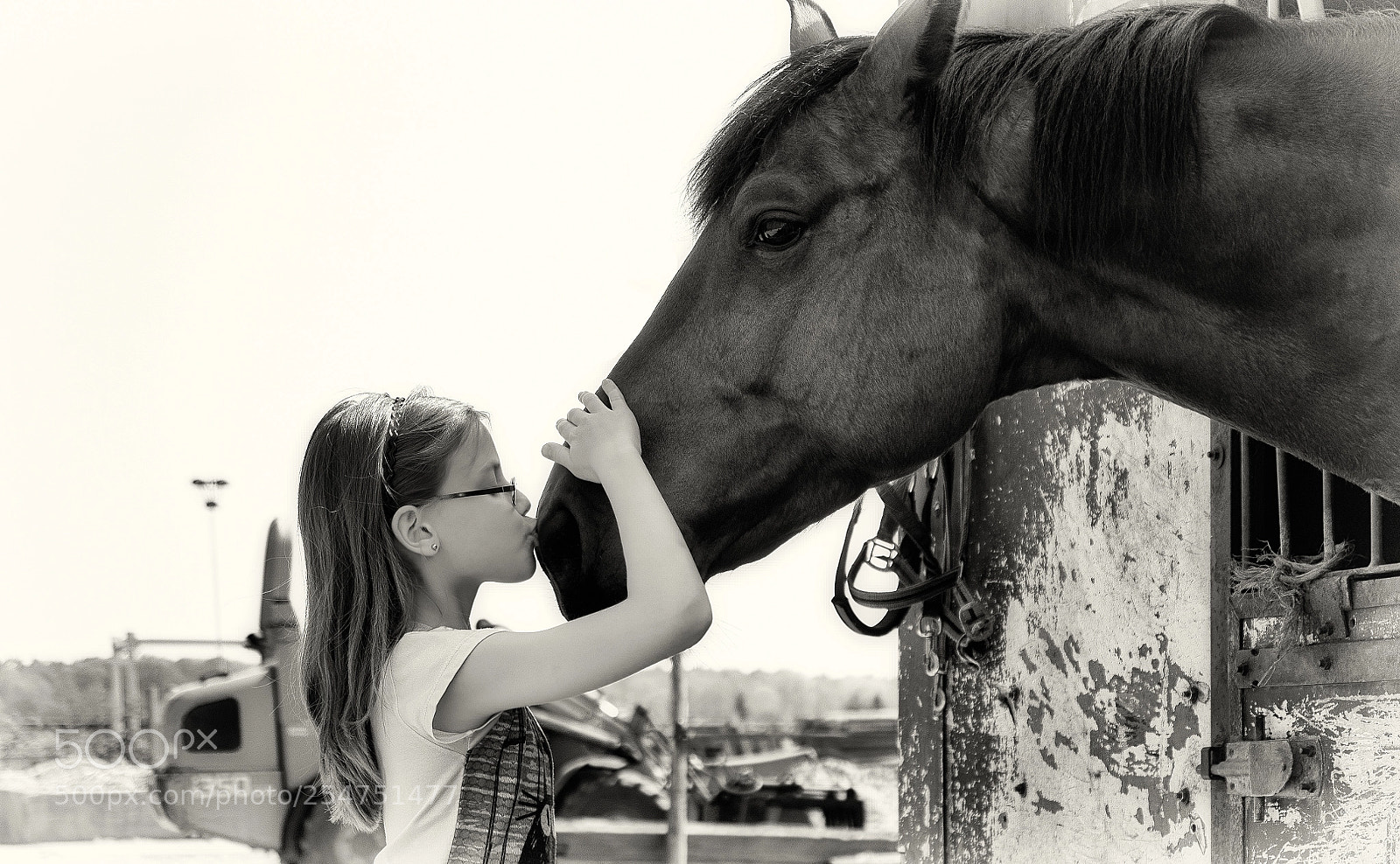 Olympus OM-D E-M5 II sample photo. The true love photography