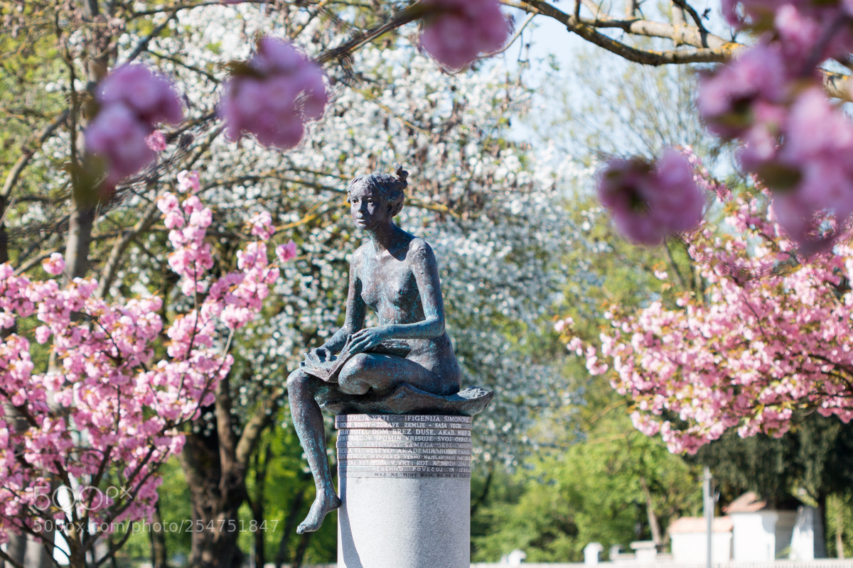 Canon EOS 70D sample photo. City park photography