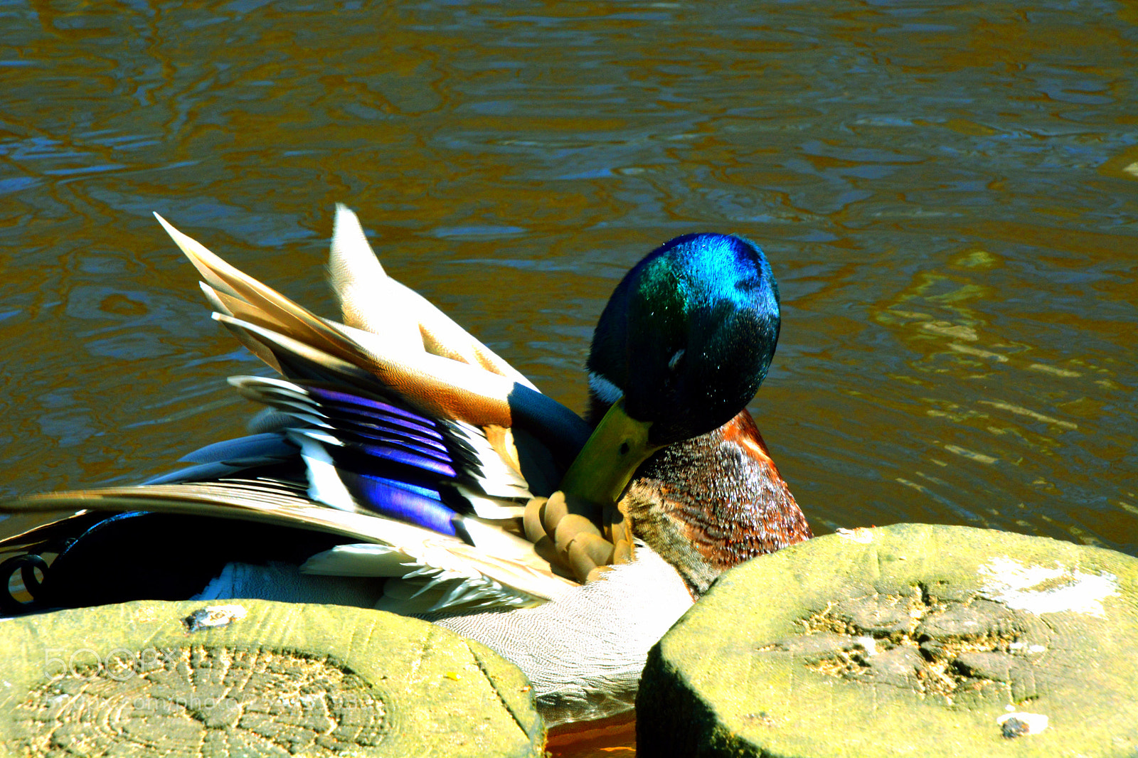 Nikon D5200 sample photo. Cleanliness. photography