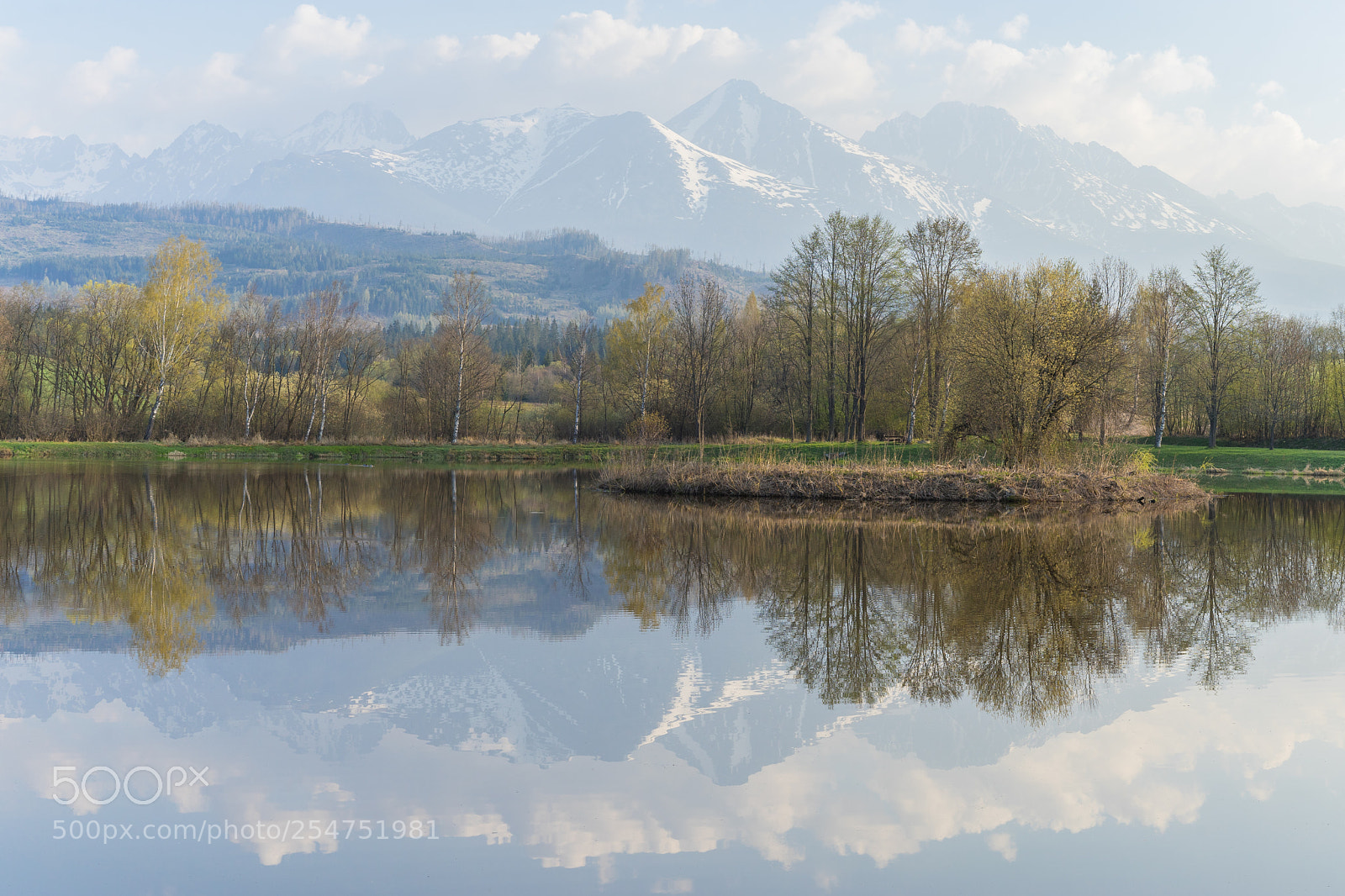 Sony a7 II sample photo. Fish pond in spring photography