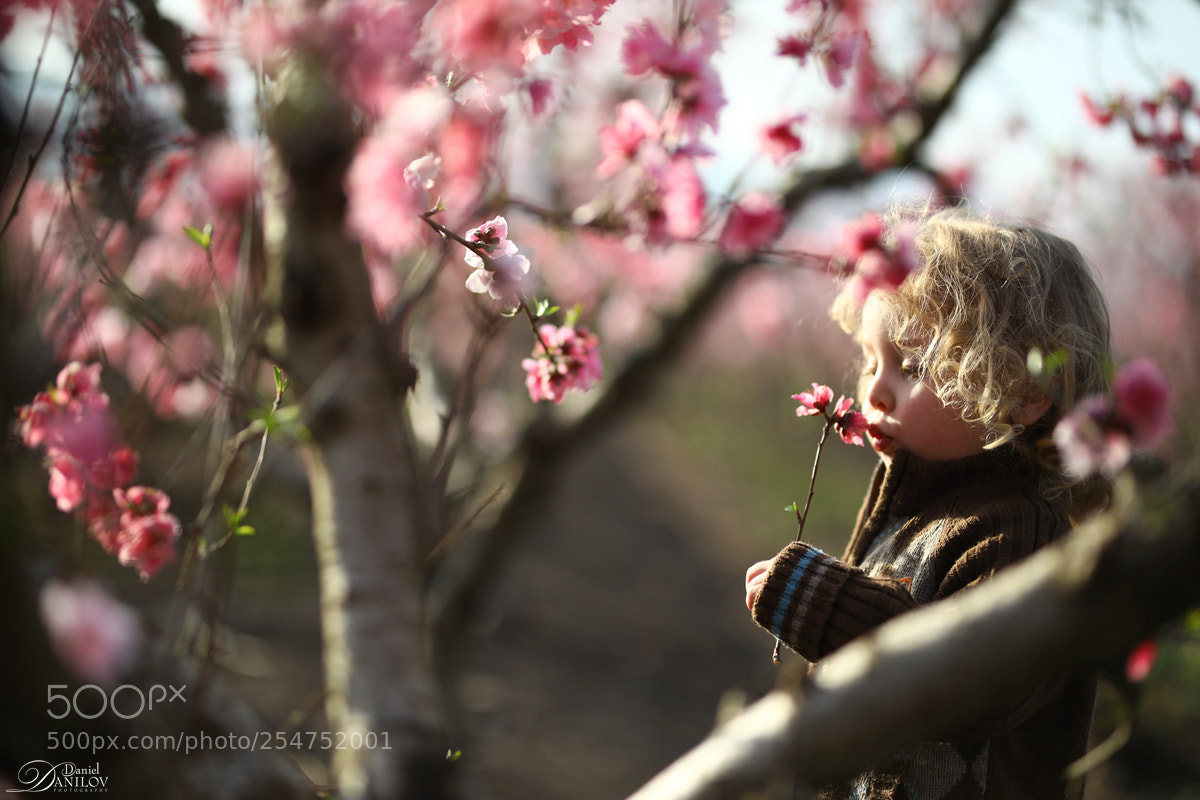 Canon EOS 5D Mark IV sample photo. Softness photography