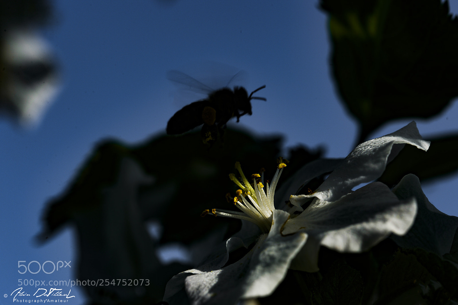 Nikon D4 sample photo. Elles sont bien l photography