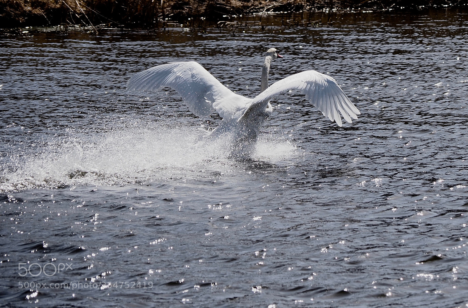 Olympus OM-D E-M1 Mark II sample photo. Full brakes and flaps photography
