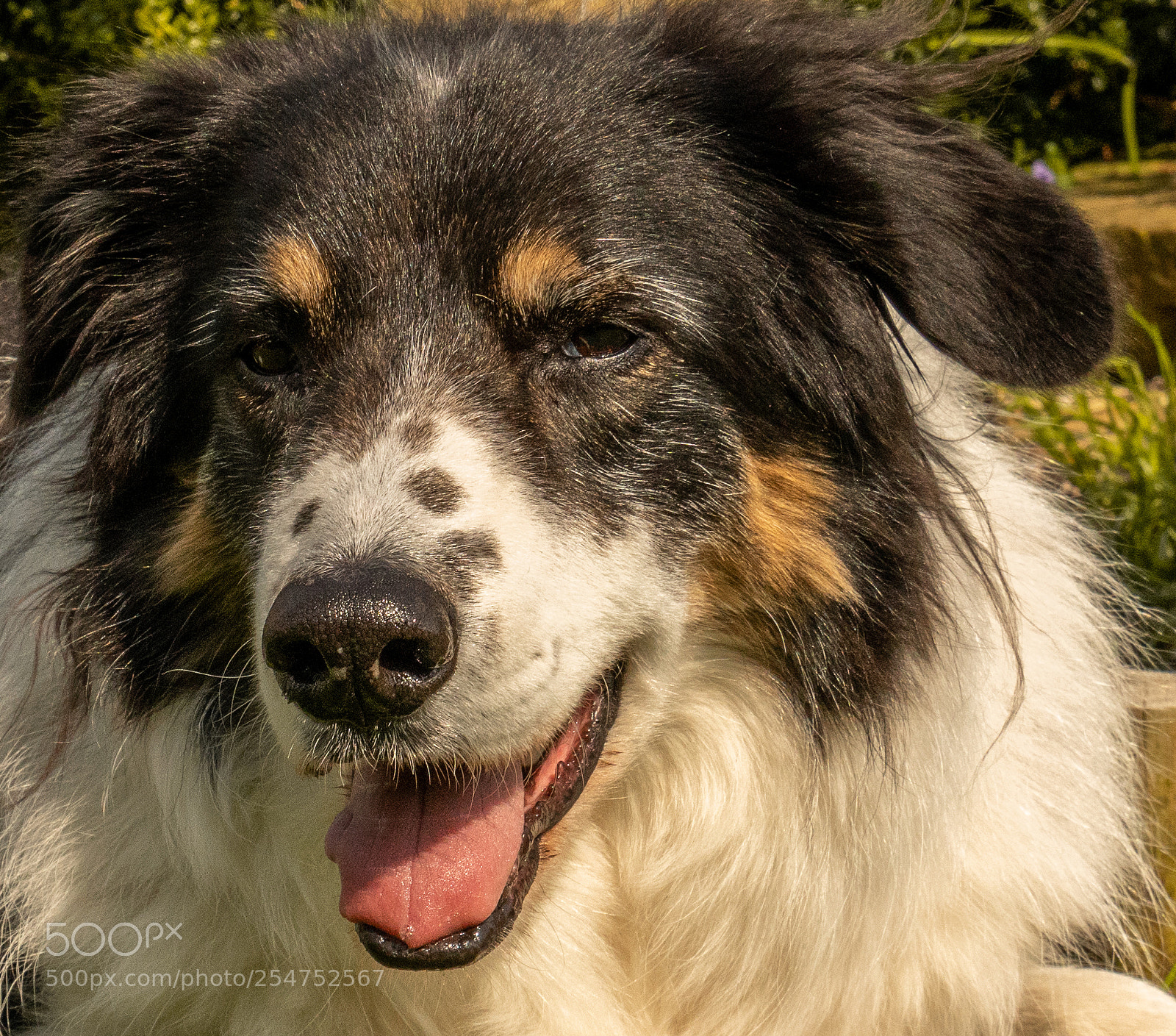 Sony a7R III sample photo. Pic photography