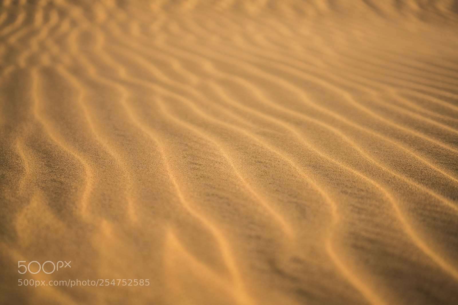 Sony a7R II sample photo. Sand photography