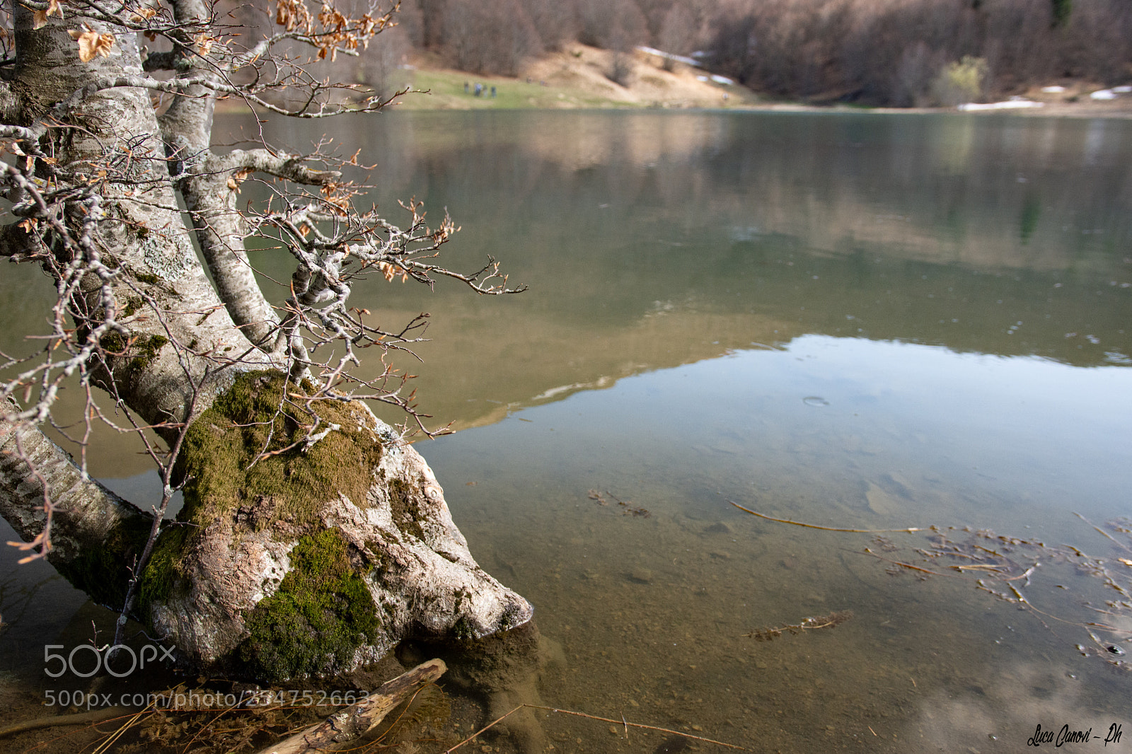 Nikon D7200 sample photo. La natura grande nelle photography