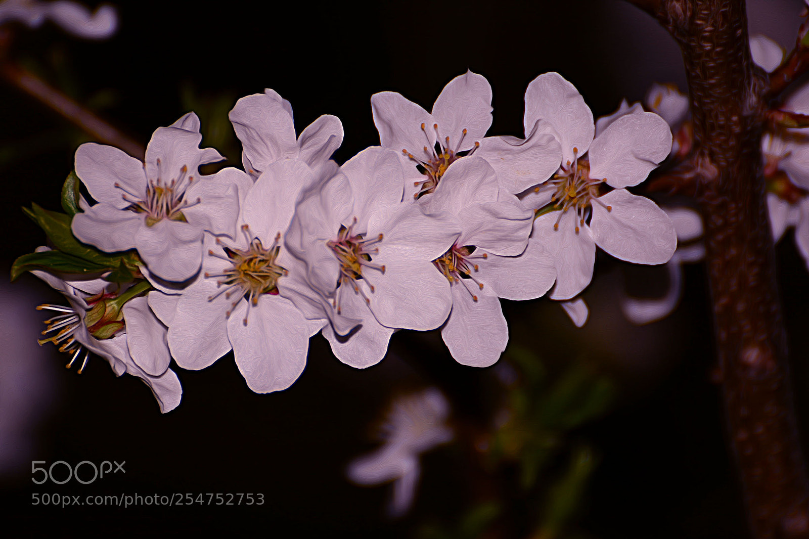 Nikon D7100 sample photo. Untitled photography