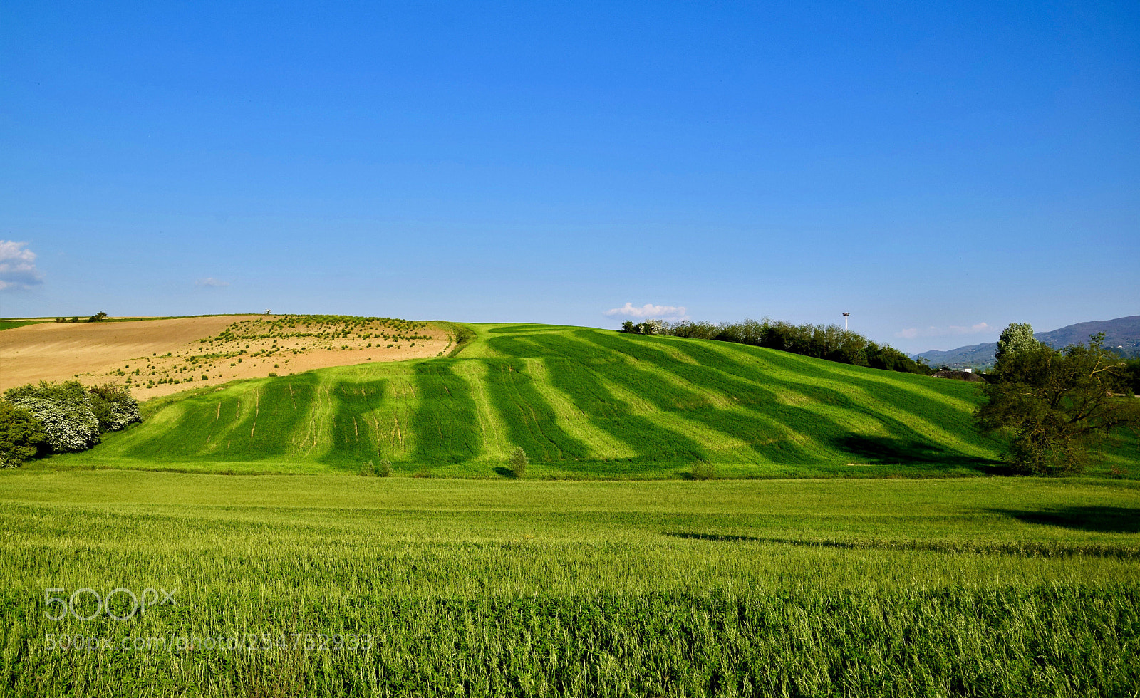 Nikon D3300 sample photo. True colors...


 photography