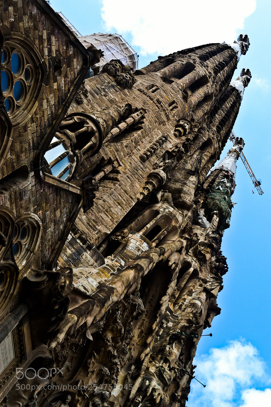 Nikon D3100 sample photo. Standing tall- standing tall photography