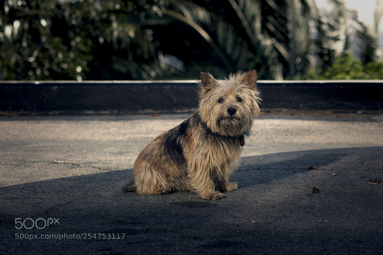 Canon EOS 750D (EOS Rebel T6i / EOS Kiss X8i) sample photo. Olli photography