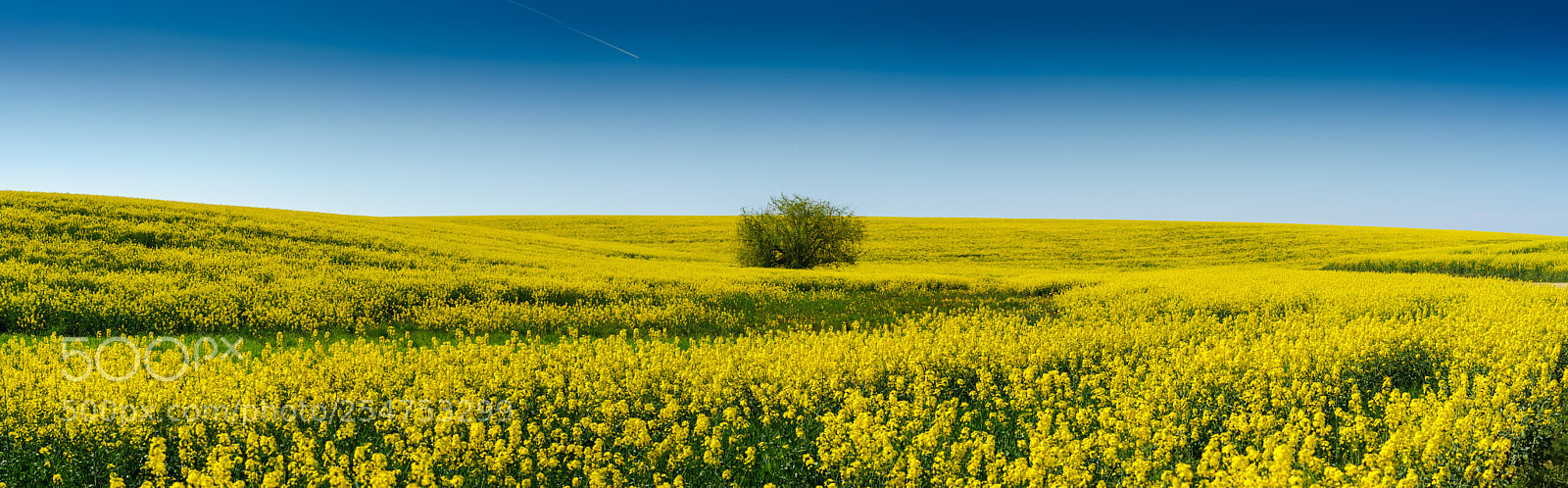 Sony a7 II sample photo. Panorama photography