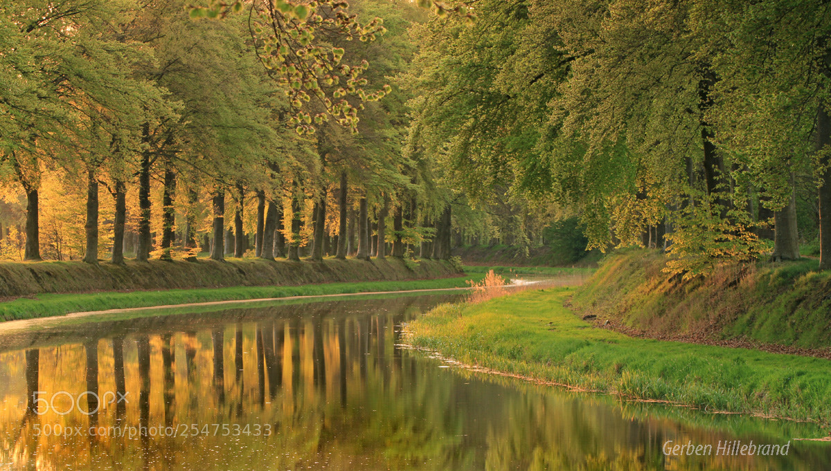 Canon EOS 7D sample photo. Evening sun photography