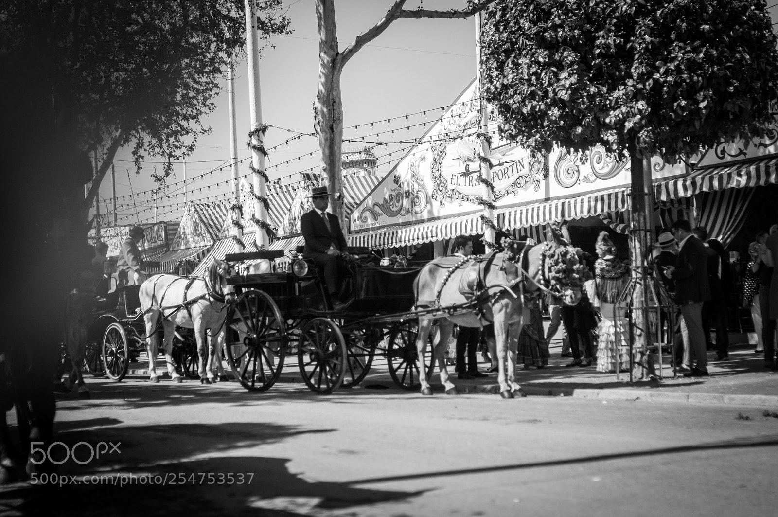 Nikon D300S sample photo. Coche de caballos photography