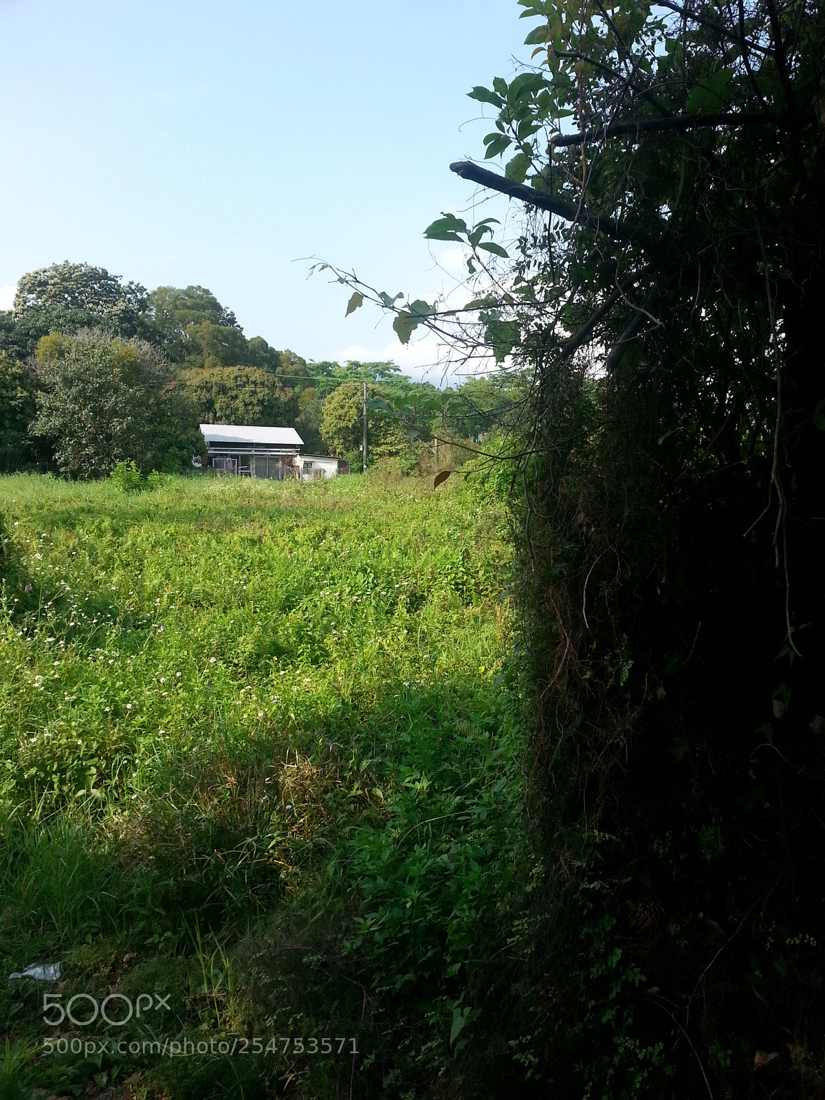 Samsung Galaxy Note2 sample photo. Ping che mural village photography
