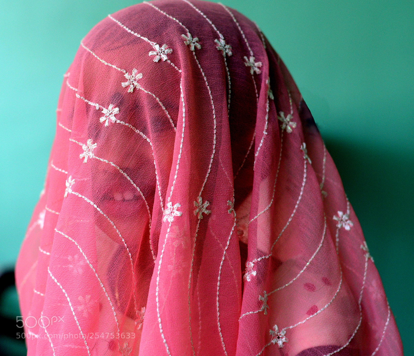 Nikon D5300 sample photo. Peek a boo! photography