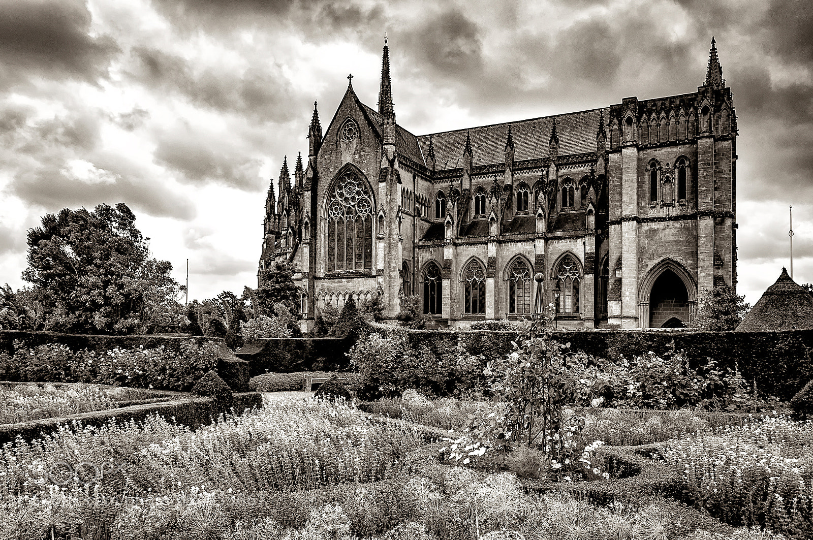 Nikon D90 sample photo. Arundel photography