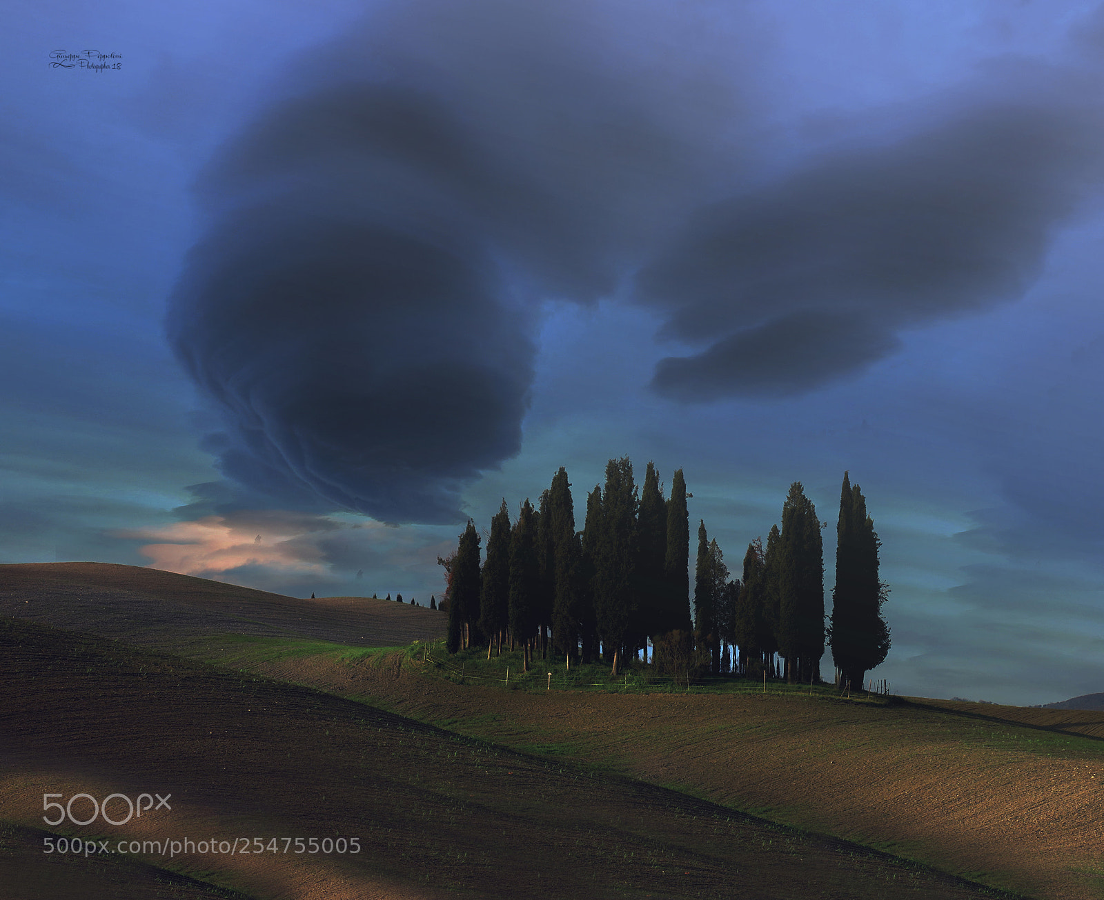 Canon PowerShot G3 X sample photo. Cypresses photography