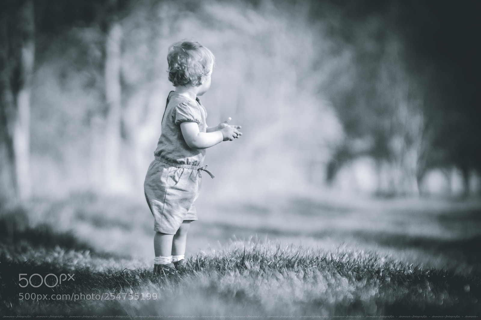 Sony ILCA-77M2 sample photo. L o s t photography