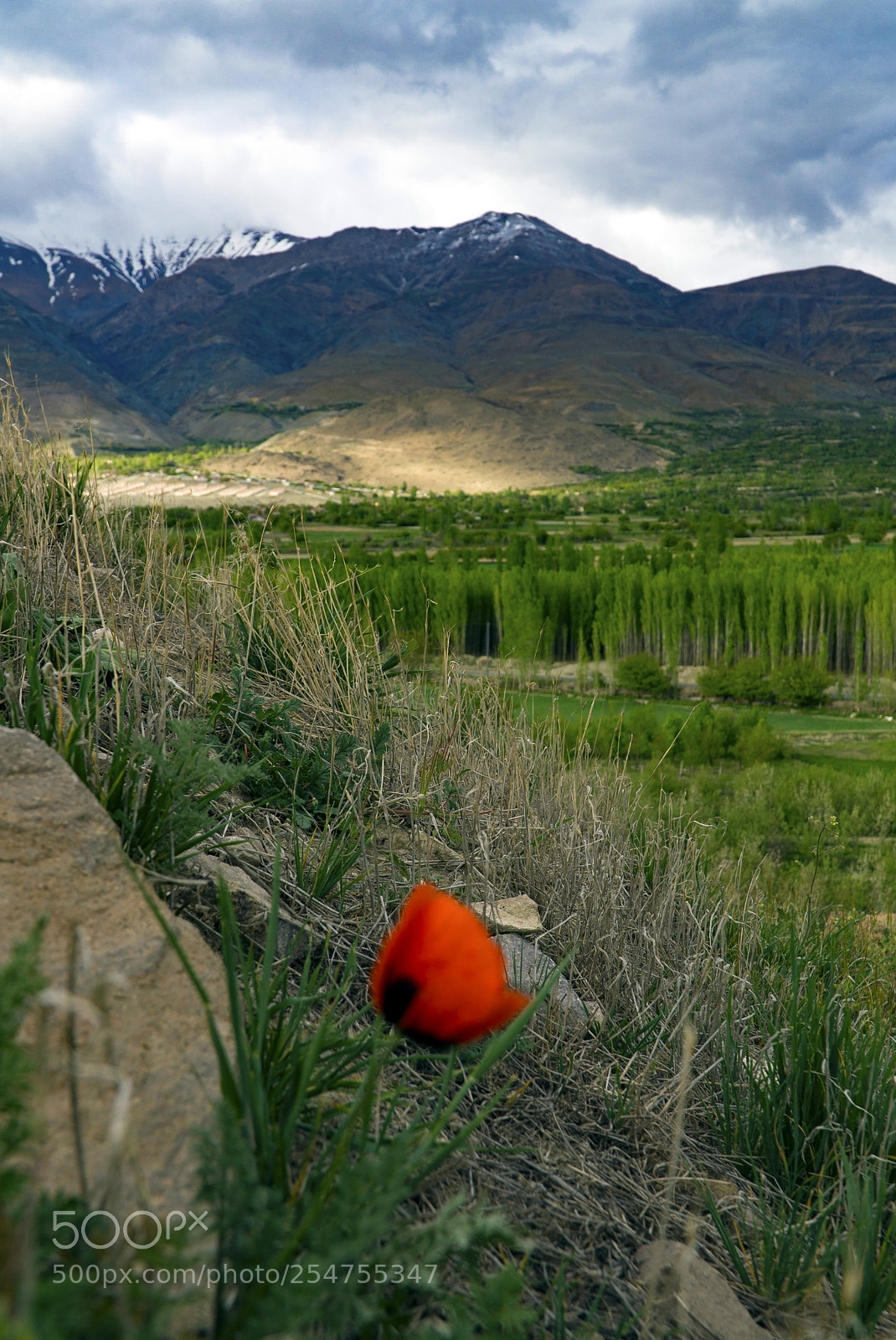 Sony a6000 sample photo. Spring and mountains photography