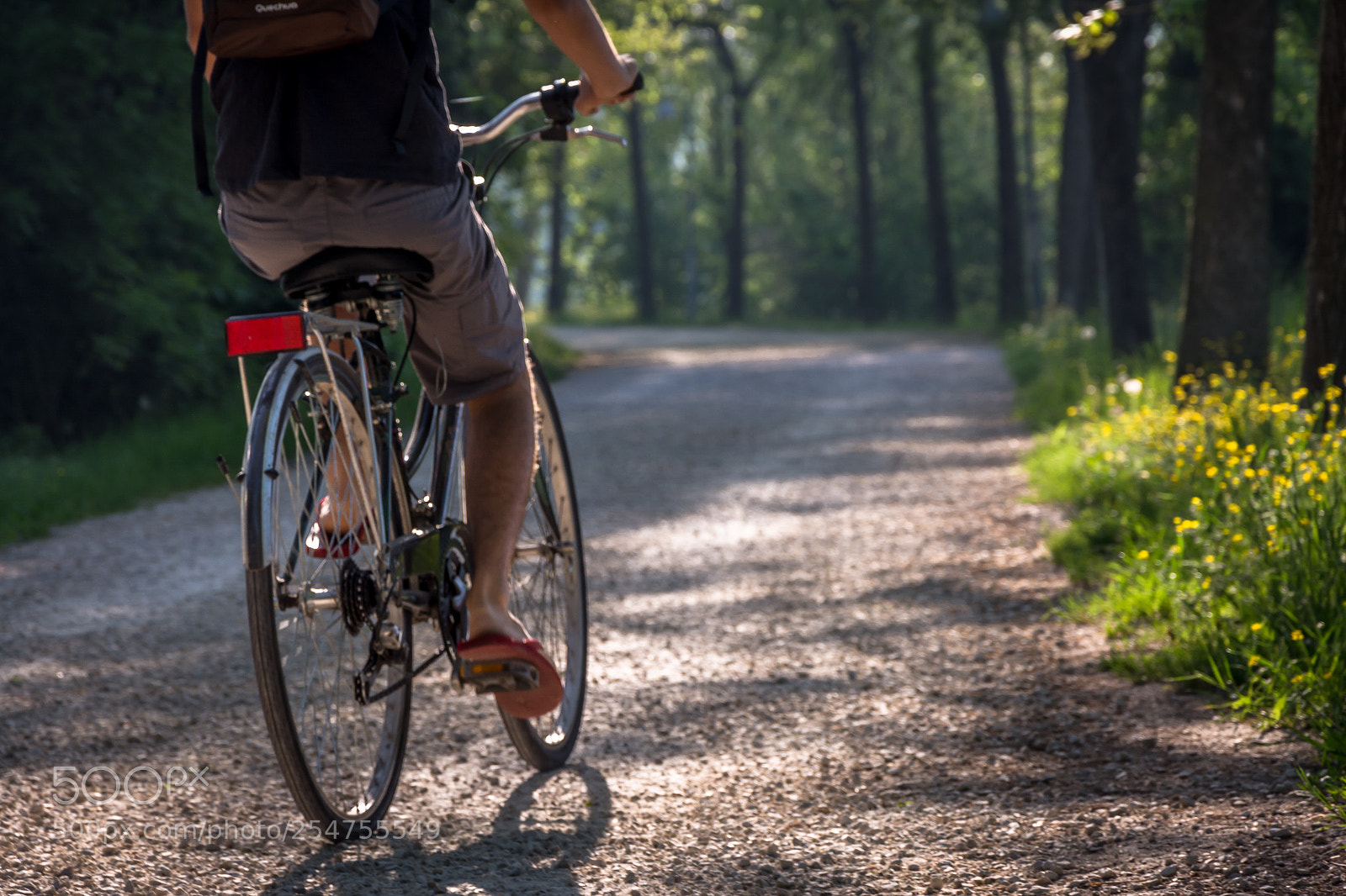 Nikon D7100 sample photo. Let's have a ride photography