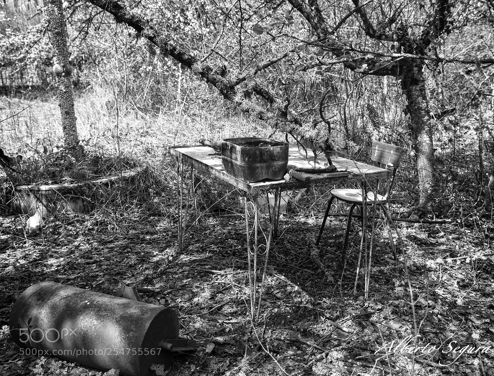 Nikon D610 sample photo. Vieja mesa photography