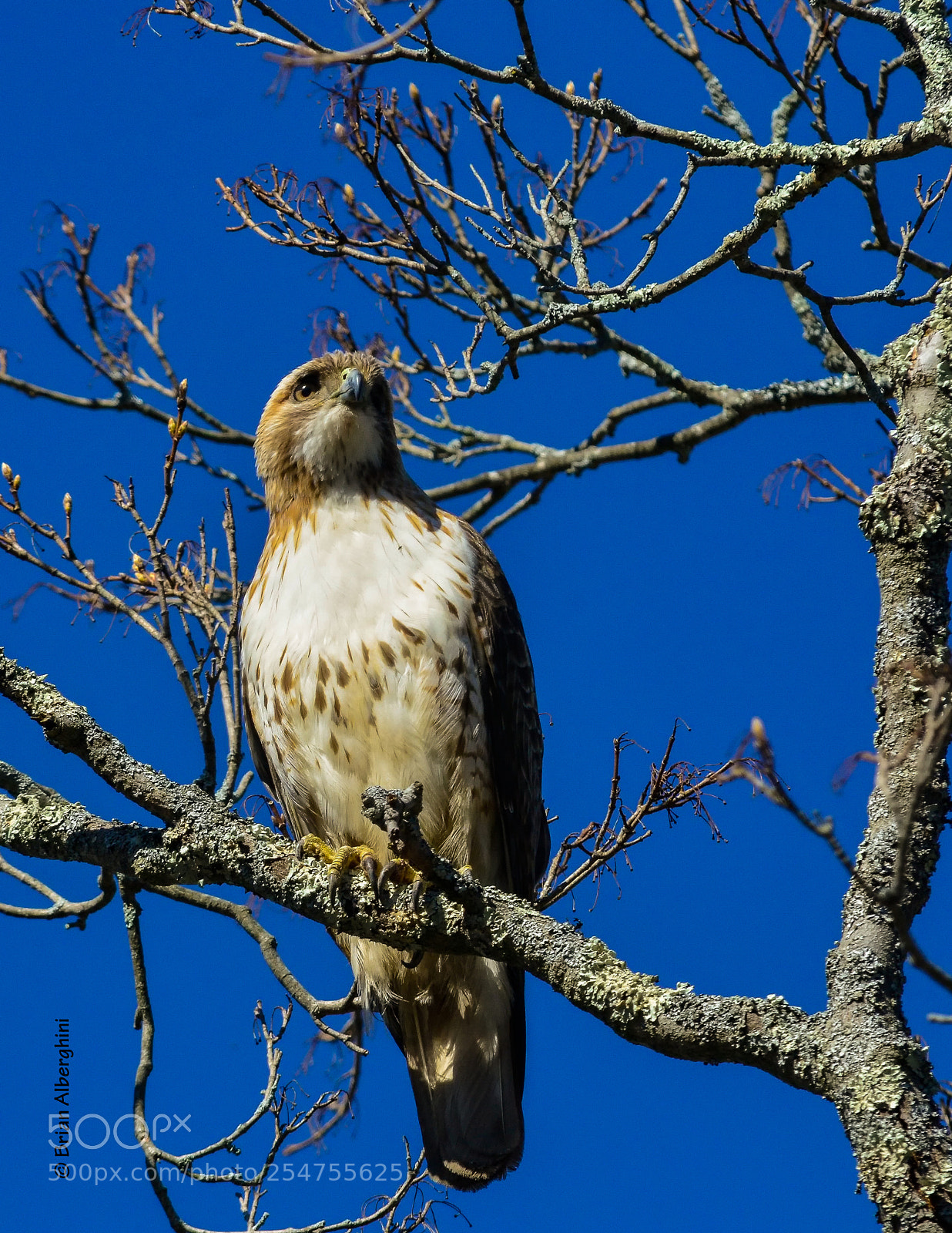 Nikon D7100 sample photo. Searching photography