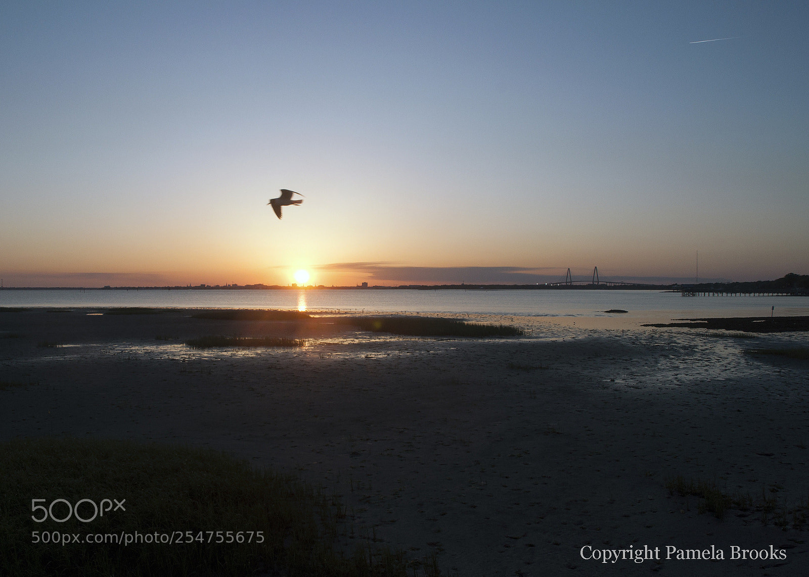 Nikon D90 sample photo. Soaring photography